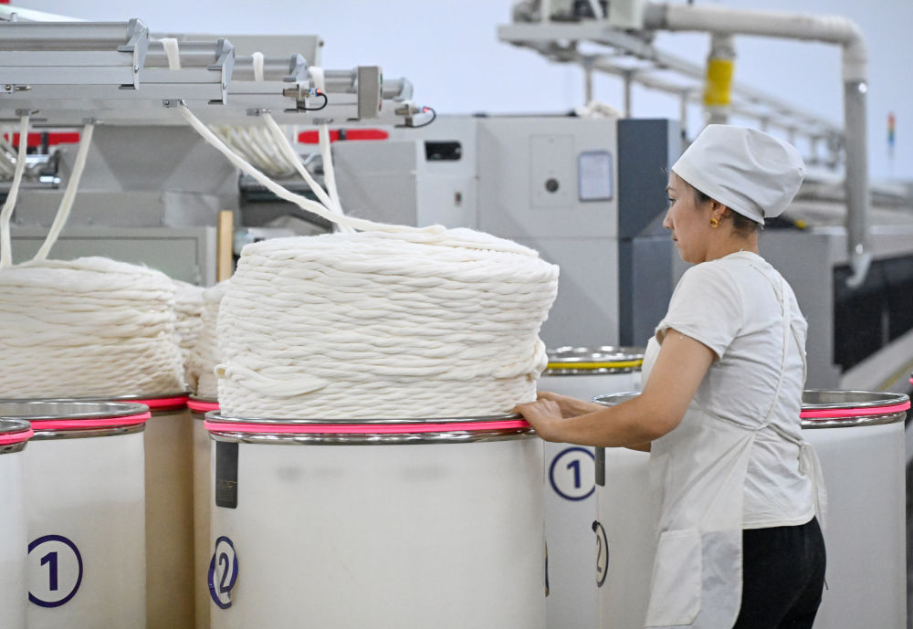 镜观·回响｜新时代大美新疆新图景(图19)