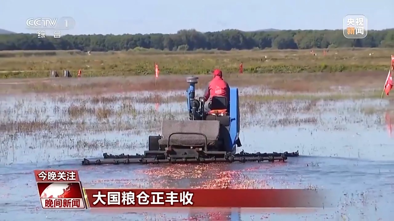 大地调色盘晒秋正当时！这幅五彩“丰”景图藏不住了(图5)
