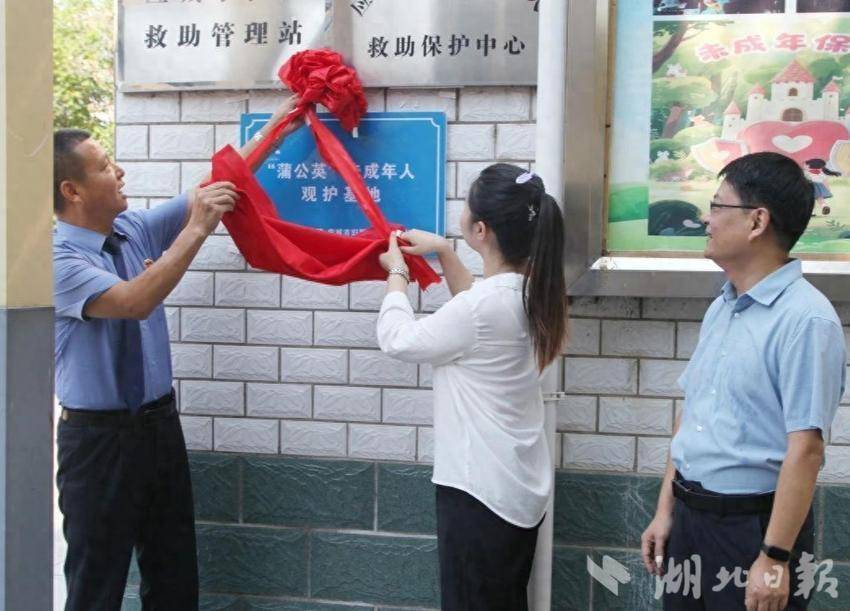 Yingcheng“蒲公英”的次要保护基地已宣布