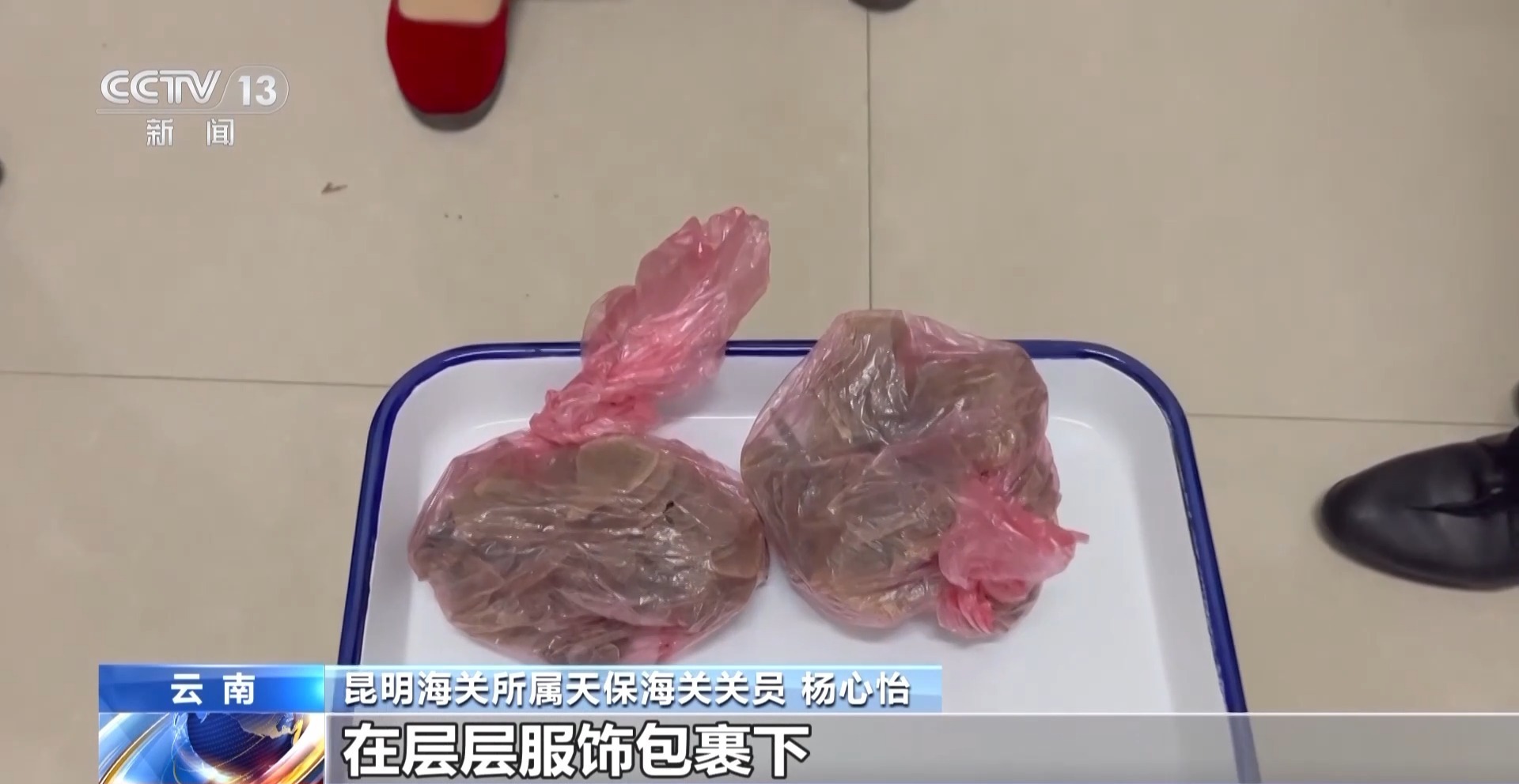 开云网站:严打“异宠”非法入境深圳机场口岸查获200余只昆虫类“异宠”(图5)