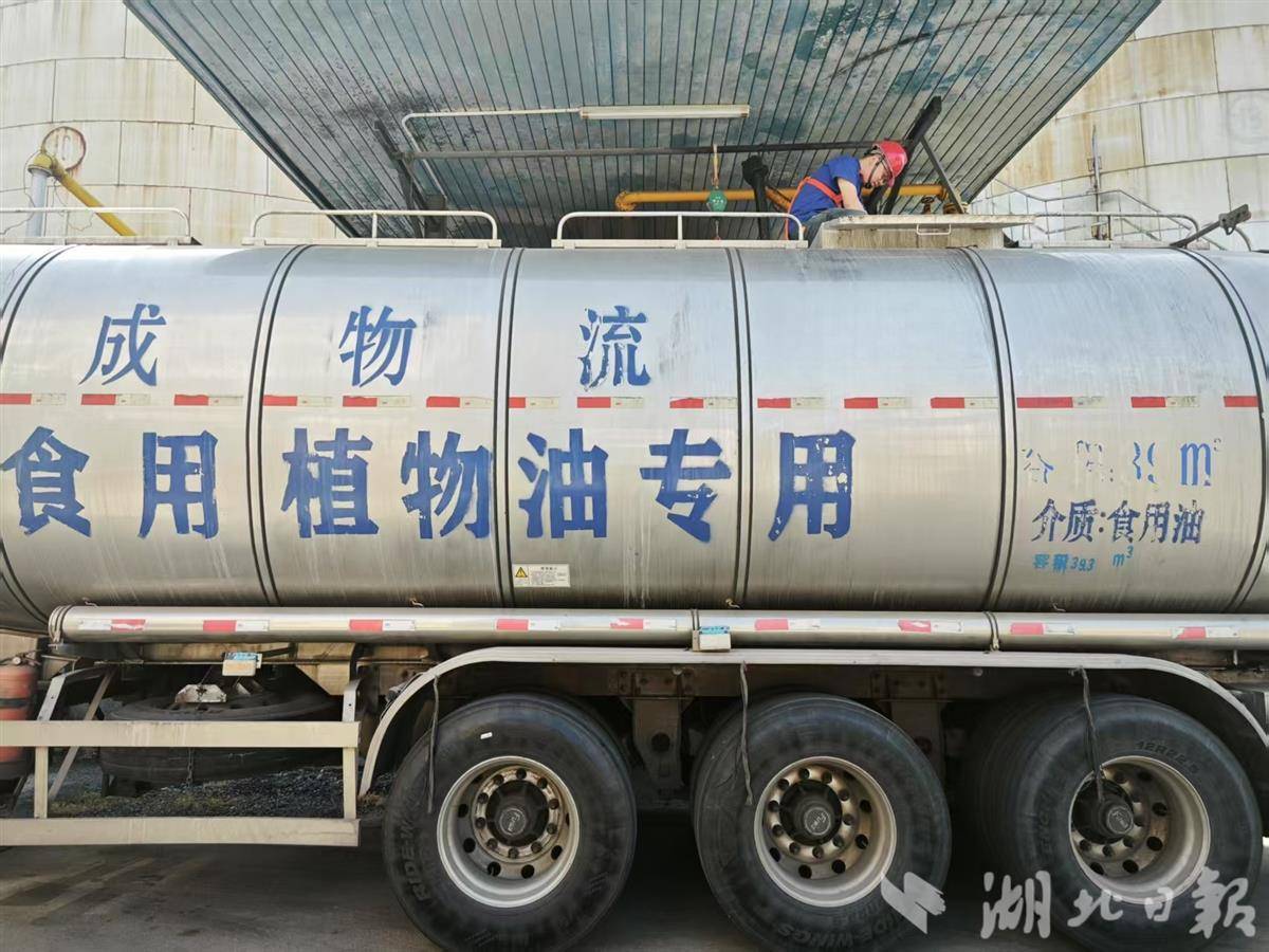Wuhan为“油瓶”安装AI“智能大脑”：从水箱到油