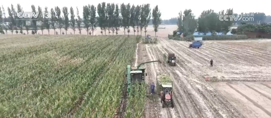 希望领域是“蓝色”和风景如画的，带有代表繁