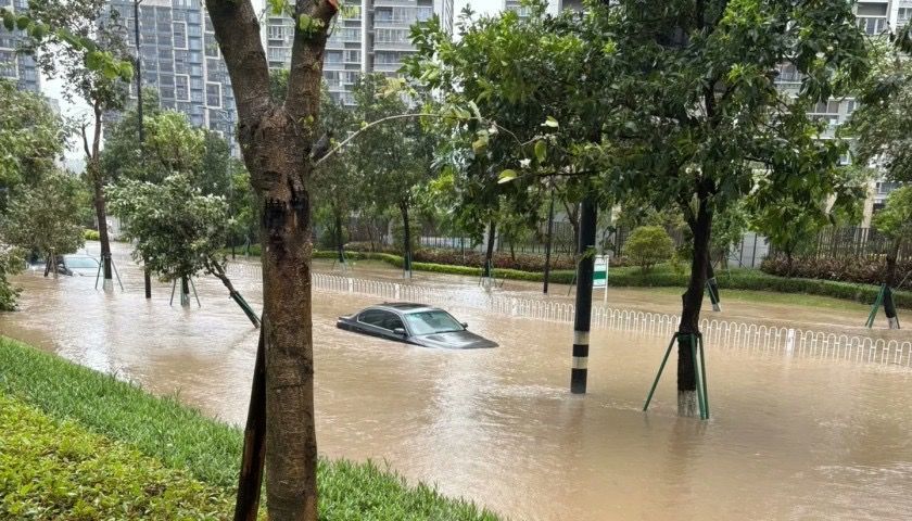 为什么台风“ Baigaza”有海水的回流？揭示了秘密