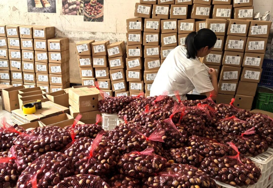 随县澴潭镇化解企业“爆单”烦恼 畅通农货“出圈”之路(图1)