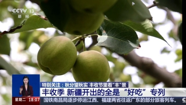 从秋季秋季看，在新江的收获季节里有许多特殊