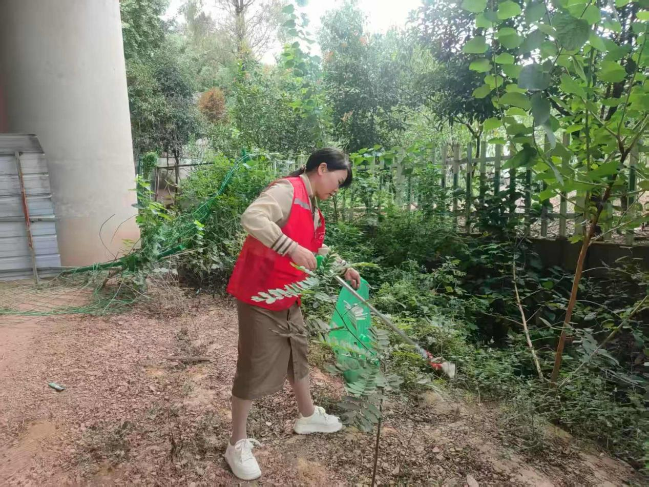 Yunmeng Water Conservancy System将开始进行河流巡逻队的自愿活动。