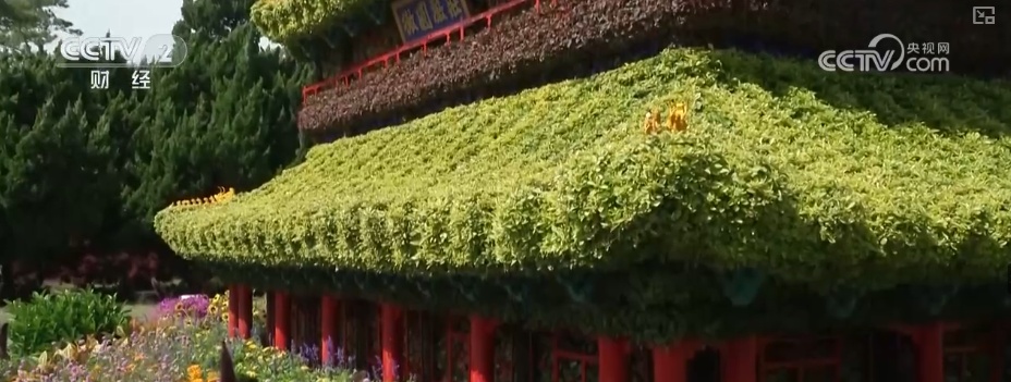 “新场景+新活动”为假日文旅市场再添一把“火”静待八方游客共赴佳节之约(图17)