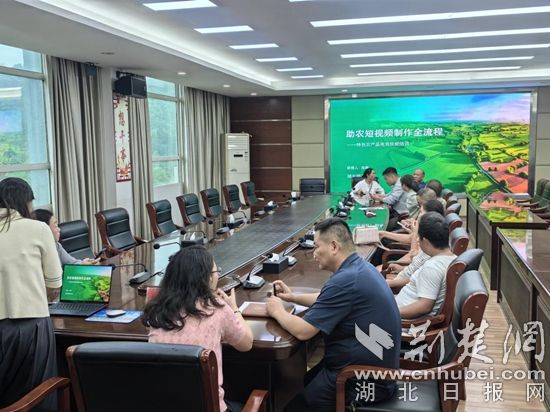 图片5.jpg.jpg