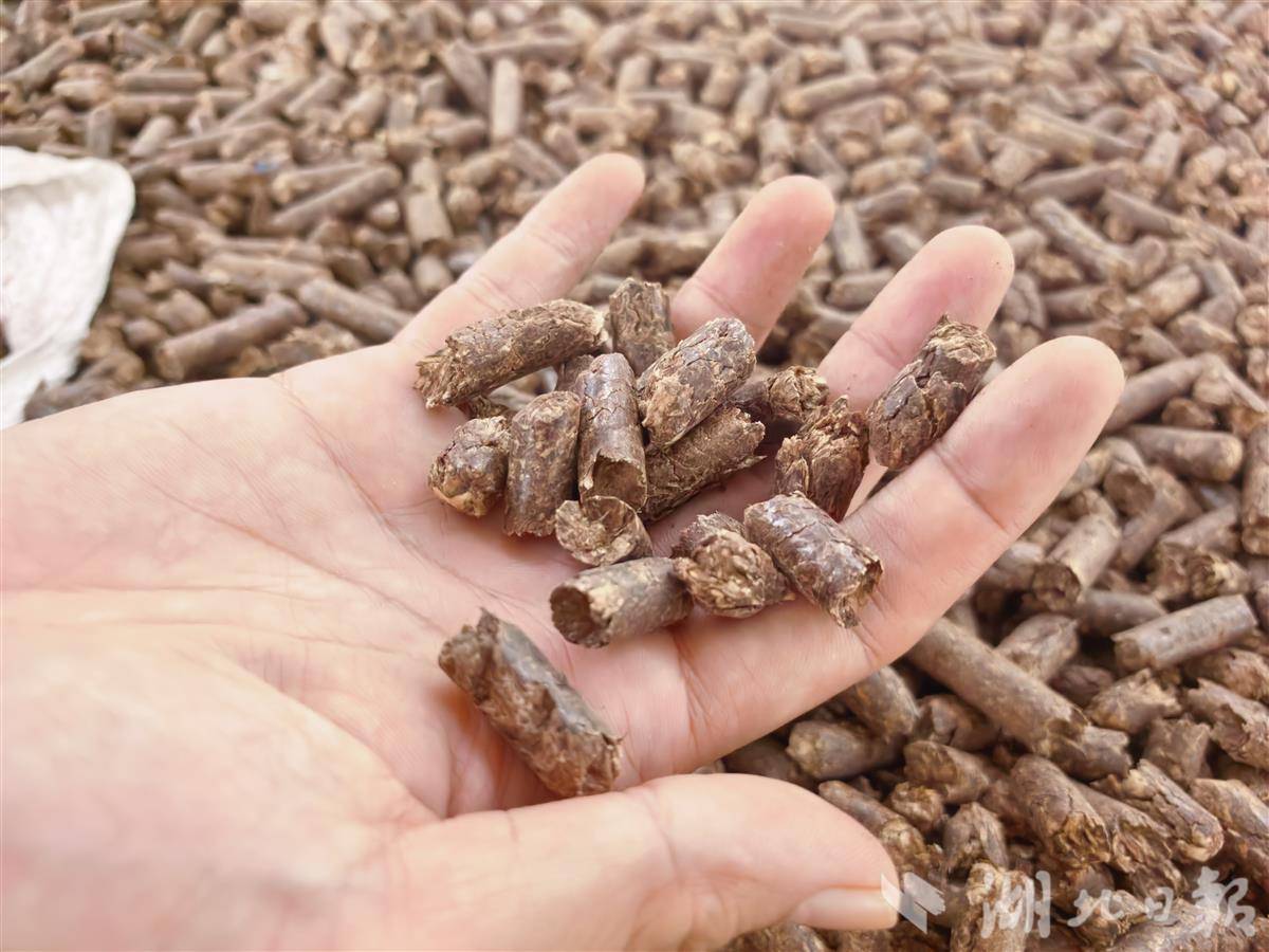 深挖“隐形宝藏” 联合国粮农组织技术合作项目在湖北启动(图6)