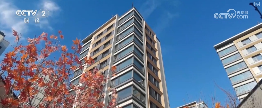 有利的房地产市场政策的“打击组合”已显示出