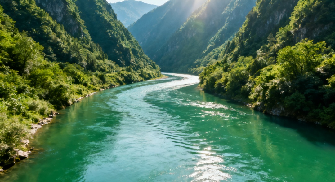 东湖有理｜像对待生命一样对待生态环境(图4)