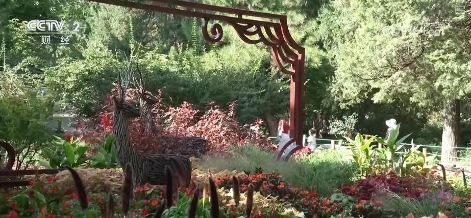 “新场景+新活动”为假日文旅市场再添一把“火”静待八方游客共赴佳节之约(图20)