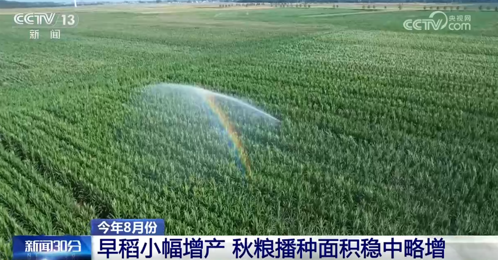 宏观经济政策“积极有效”促进了国民经济的一
