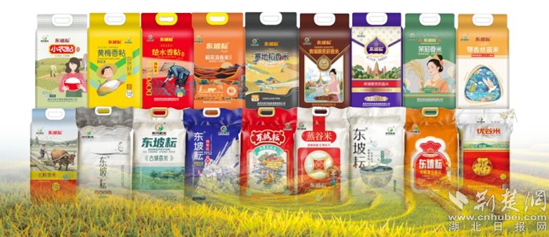 huangang“ Dongpoyun”的米饭扩大了校园消费的新情