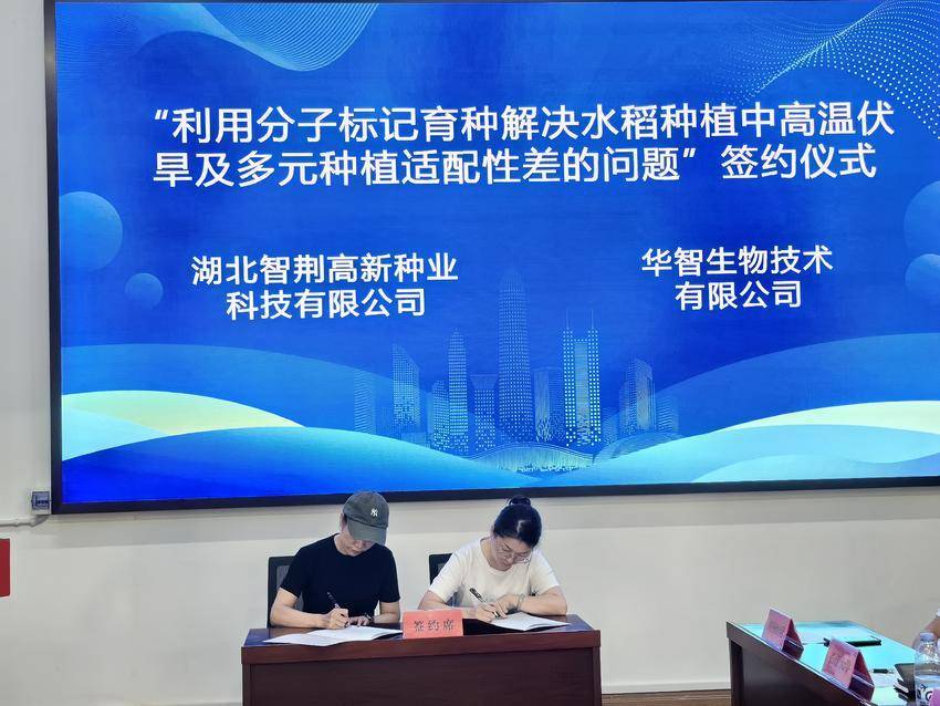 JingzhouĵһĿѳɹǩ𣬸Ŀ˹ؼһ