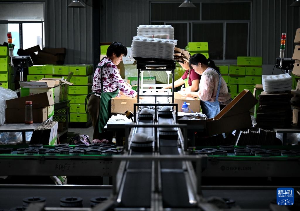 hebei的Botou：“鸭梨的家乡”是繁忙的收获和出口