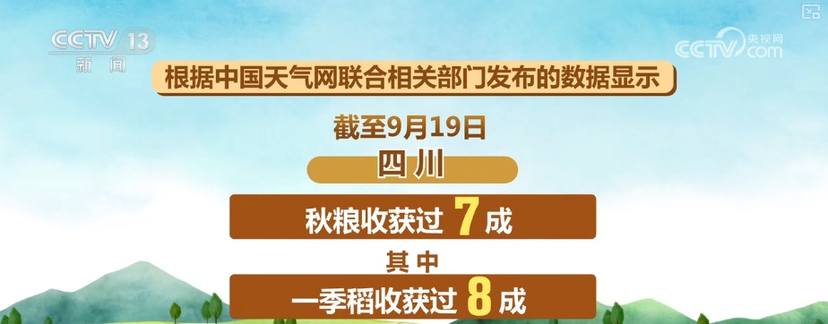 金色和快乐的地方无处不在。图片显示了国家秋