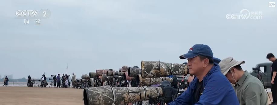 不寻常的鸟类吸引客户，独特的生态旅游趋势创