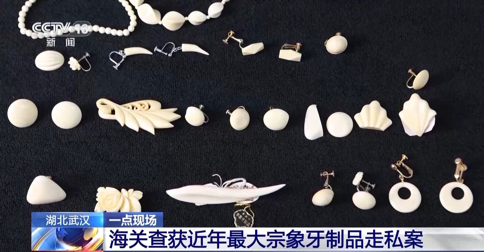 开云网站:严打“异宠”非法入境深圳机场口岸查获200余只昆虫类“异宠”(图8)