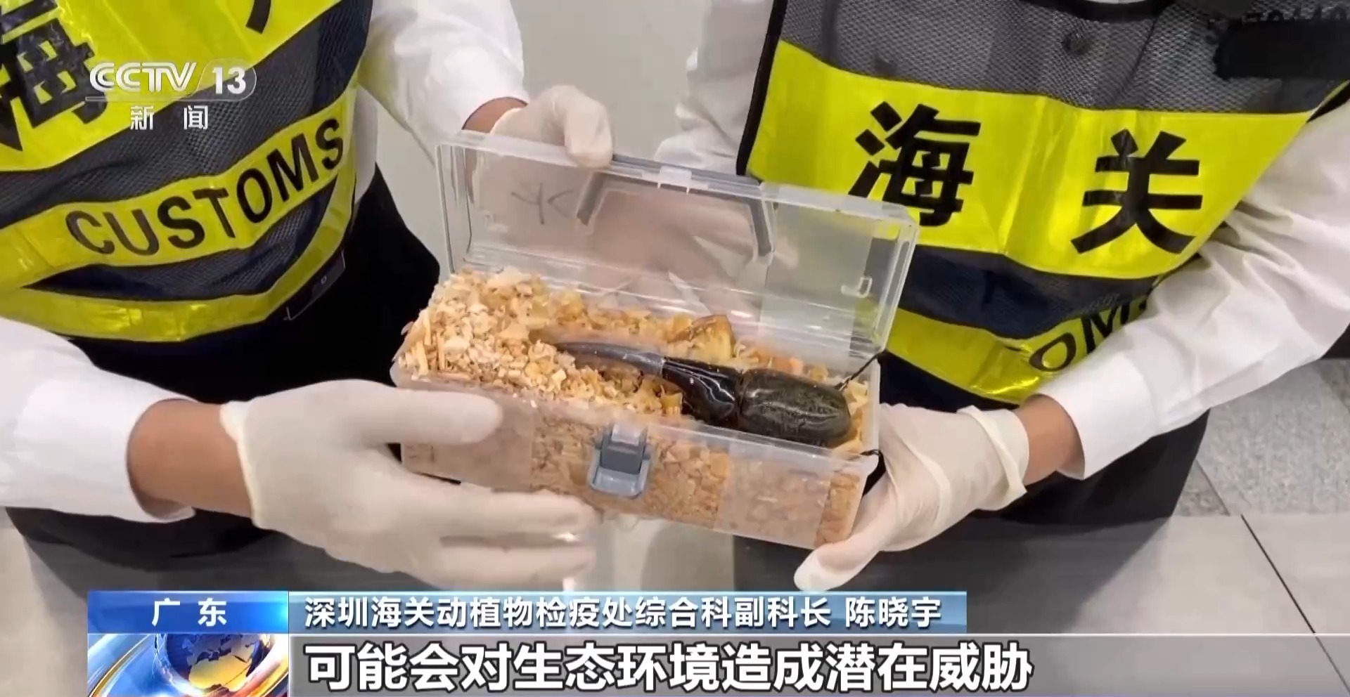 开云网站:严打“异宠”非法入境深圳机场口岸查获200余只昆虫类“异宠”(图4)