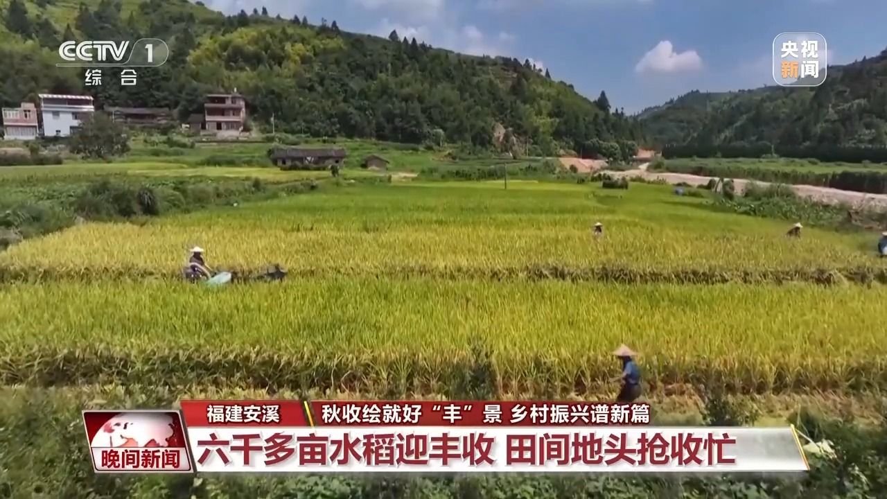 黄金秋季是一个非常“球员”的景观，田