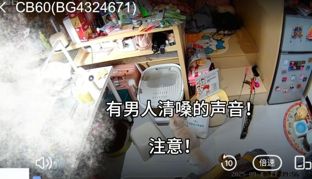 一个活着的女人玩了一个家庭追踪摄像头