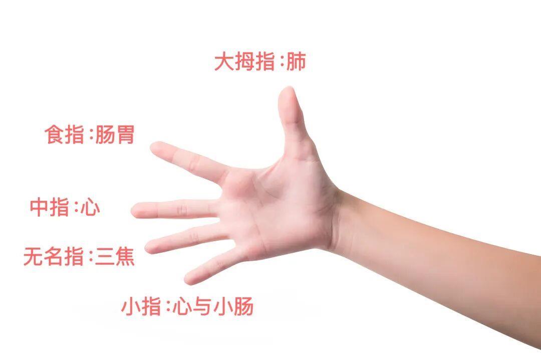 手指是医疗保健的“关键”。建议像这一天一样