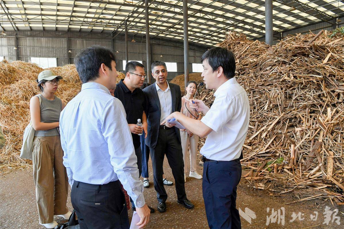 深挖“隐形宝藏” 联合国粮农组织技术合作项目在湖北启动(图7)