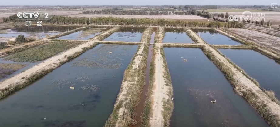 技术使沙子可以将“黄金”变成“盐”，而萨尔