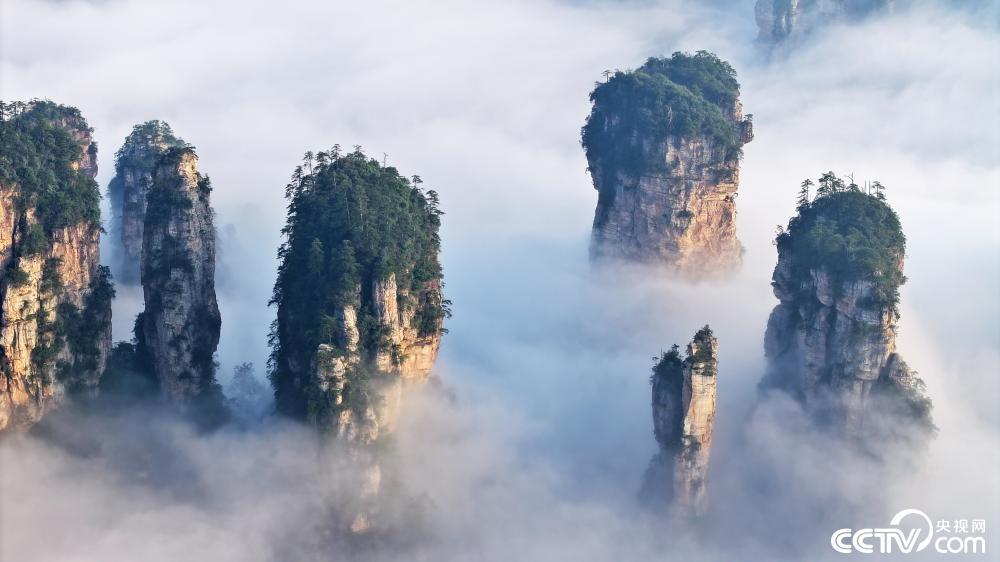 匈奴，Zhangjiaj国家森林出