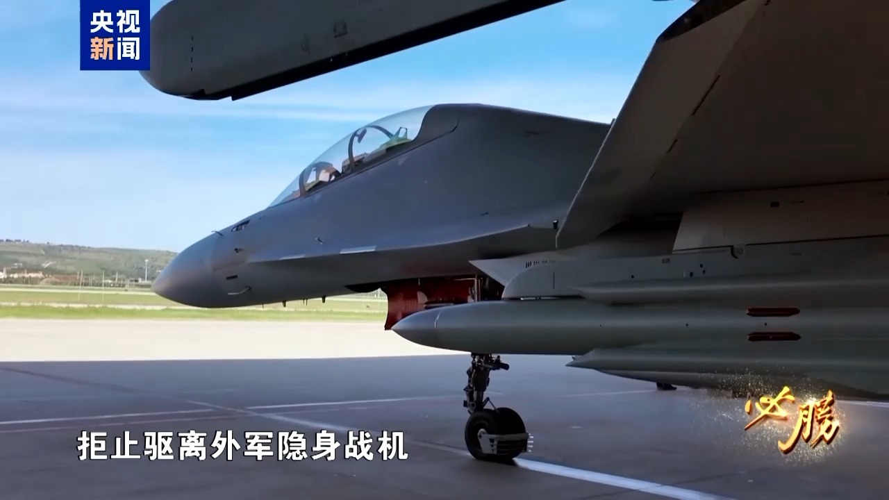 飞行员在游行中的细节，他们拒绝移走外国军事