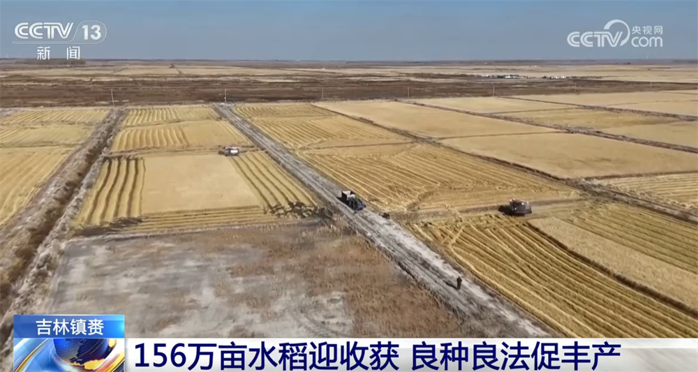 “好种子+好方法”促进高产，广阔的田野描绘出科技与农时结出的丰硕景象。
