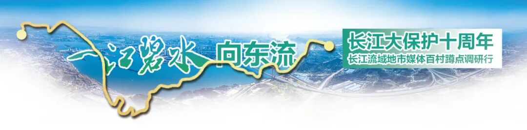 鄂州中湾村的“蜕变”：从江边渔村到诗意田园