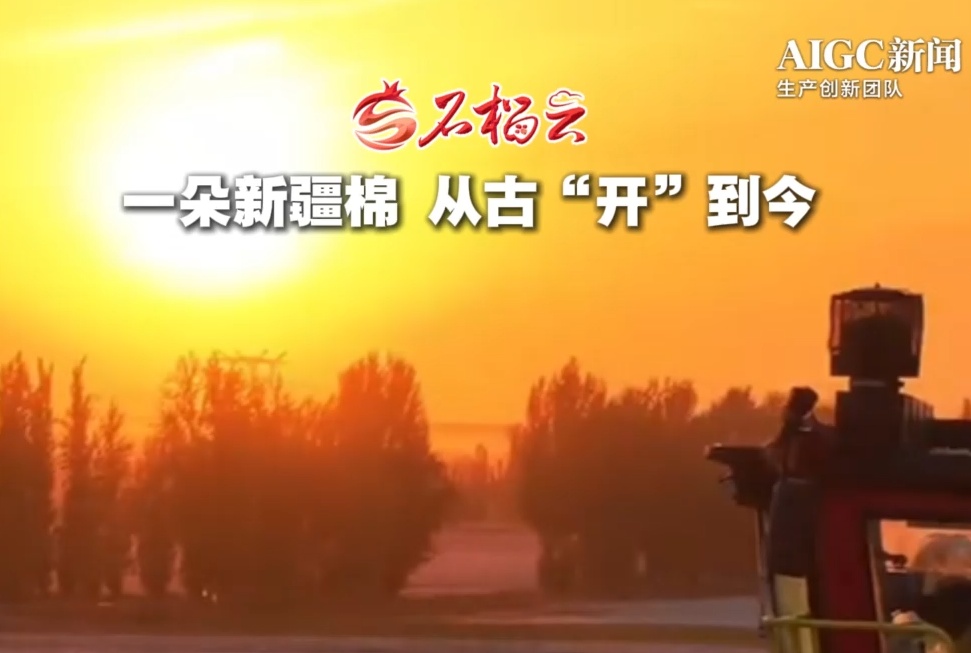 一块新疆棉花从古至今