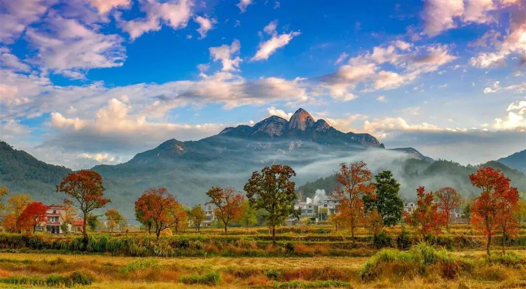 죺˵˵װɣƸѡʡ＾ʮʤ֮һ