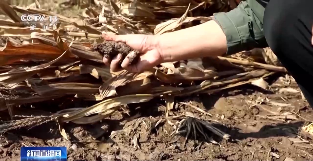 秋收秋播种遭遇持续降