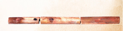 Haihunhou坟墓Jiangxi发掘的医学针头：2，000年前，他
