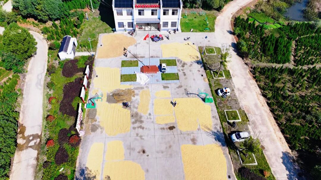 Т飺㳡ĻʳɹȺͬЭȺڹ