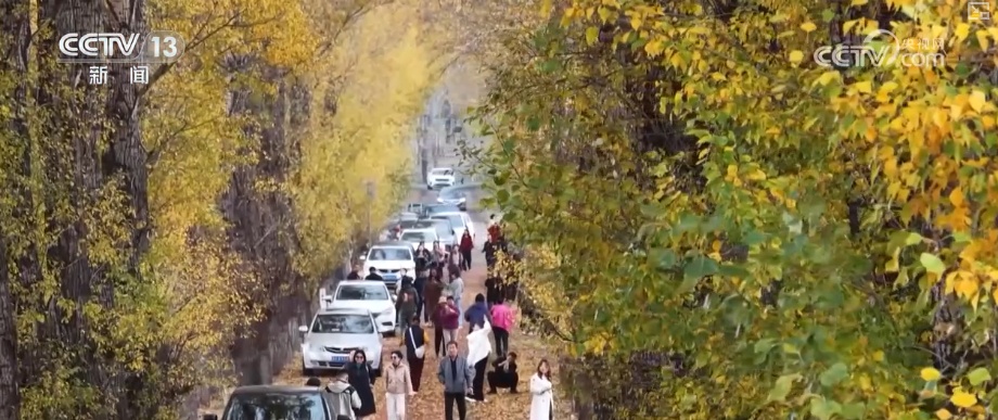 赏秋，选秋灯，秋文化旅游。多种新体验助力旅