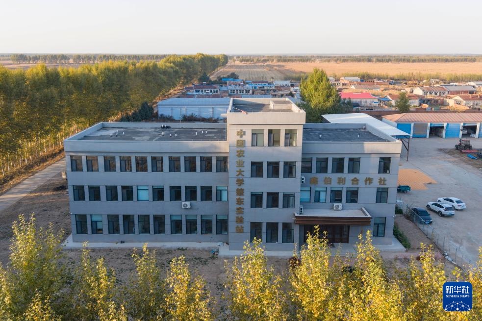 科技赋能地球农业生产与论文写作——探访中国