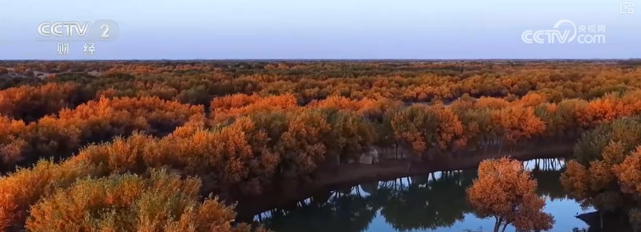 ͷɫο͡סס顱Ԫѡ