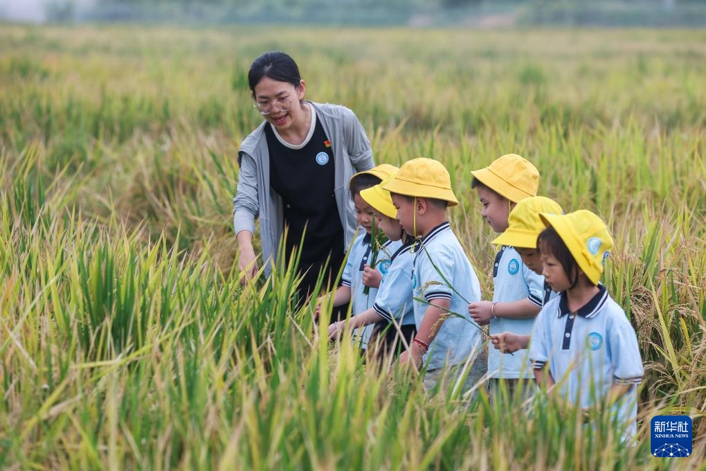 世界粮食日主题活动