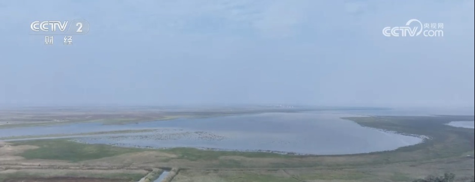 秋天,湿地生机勃勃,伴着候鸟的歌声,描绘出