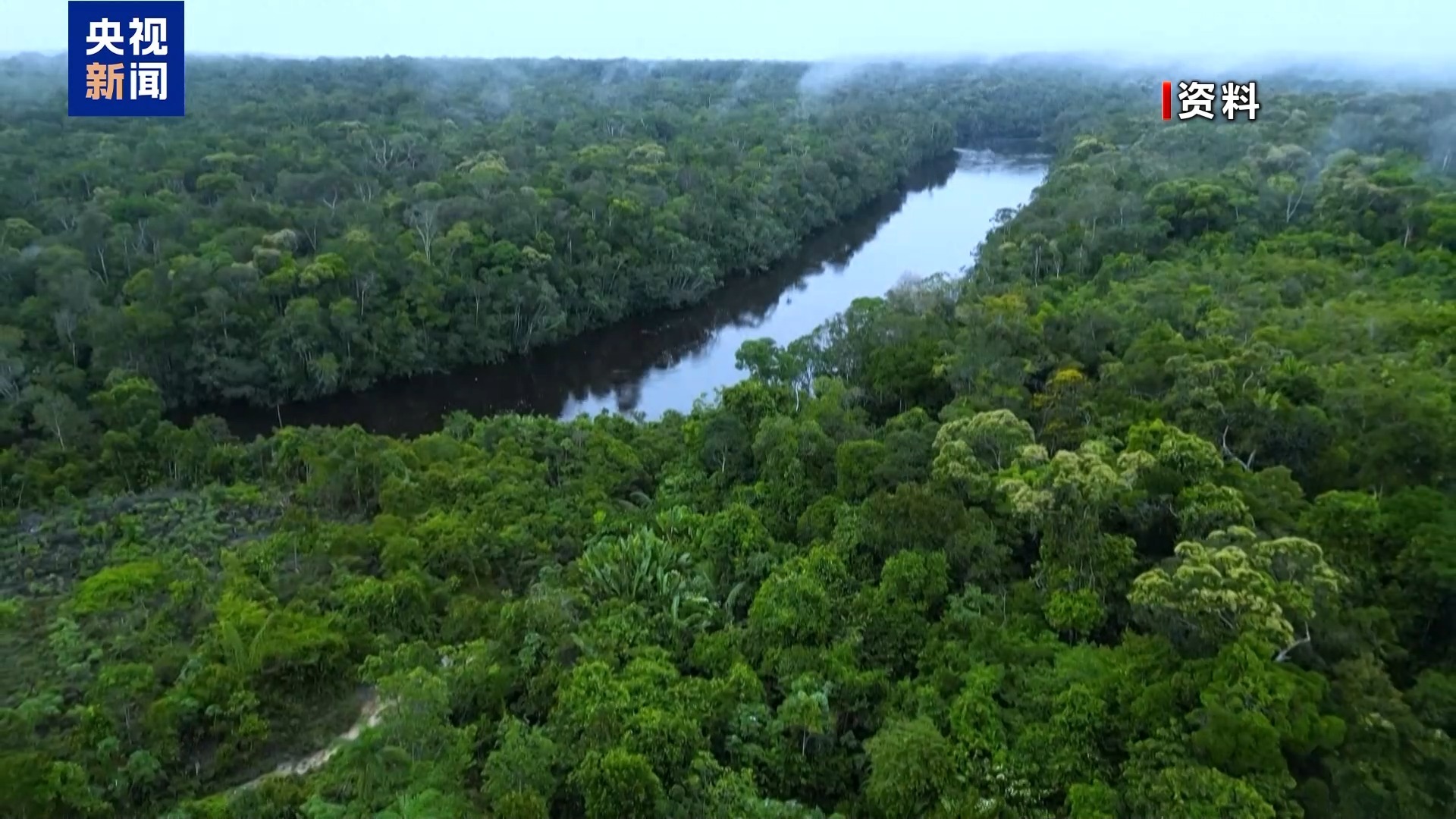 巴西亚马逊地区森林砍伐降至11年来最低水平