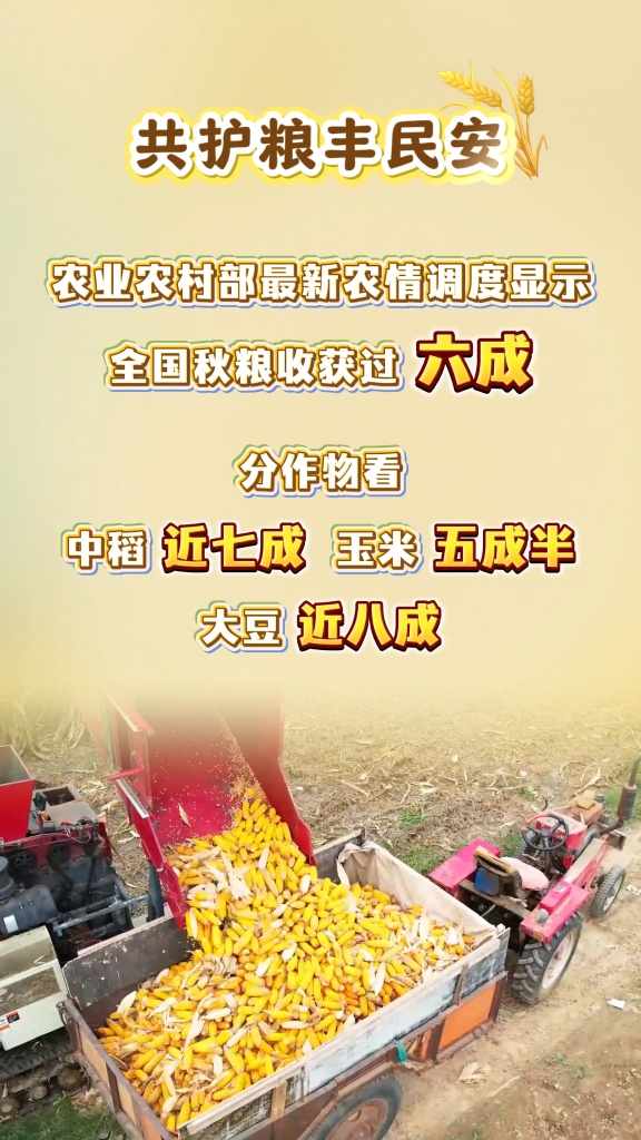 这是我们大家努力的成