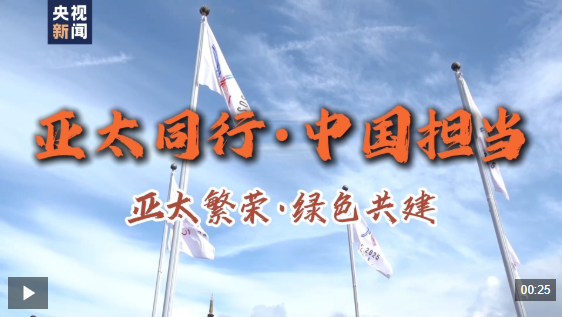 亚太同行·中国担当丨垃圾发电，阳光创造能源，