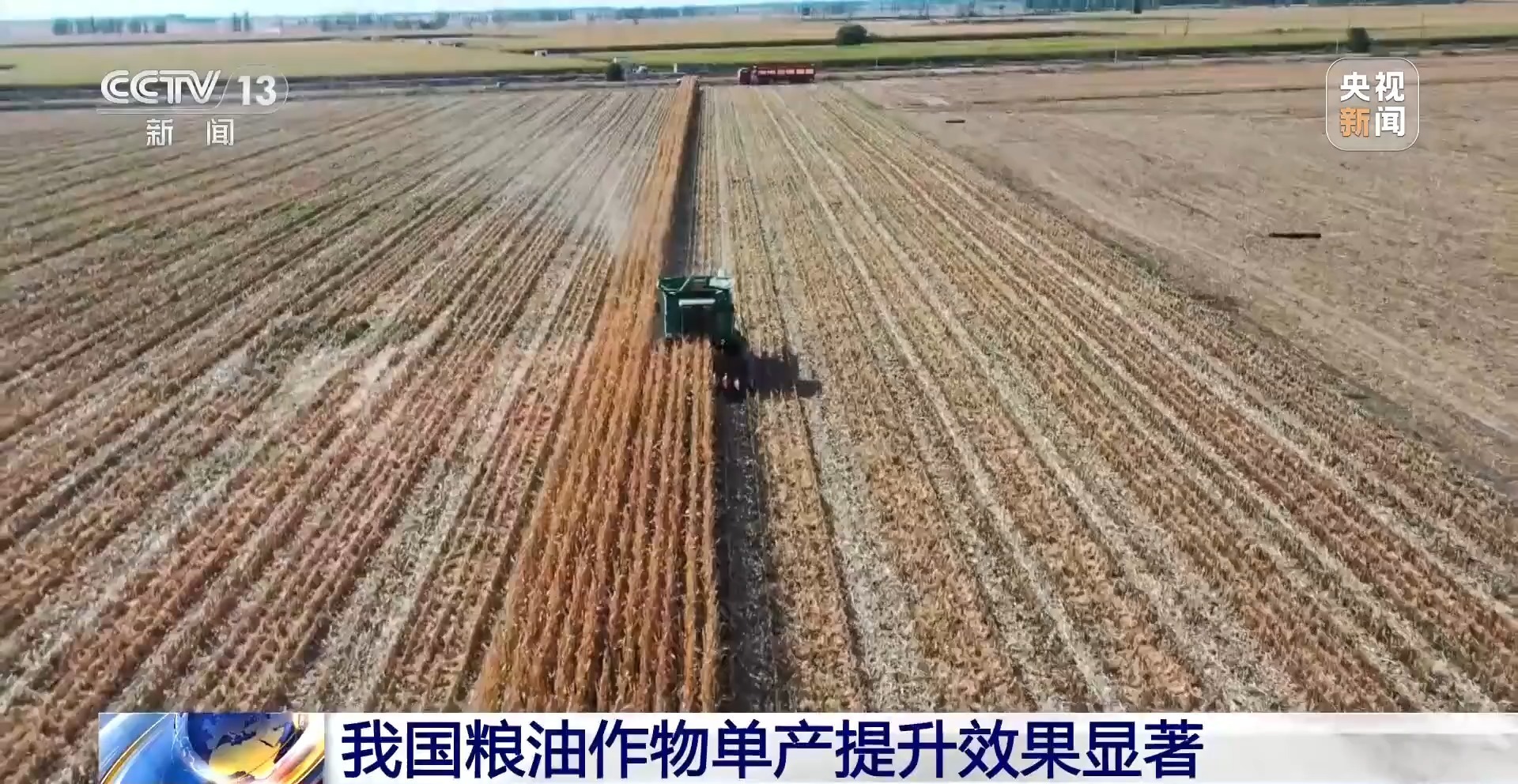 示范县“证”全国粮油产量“涨”