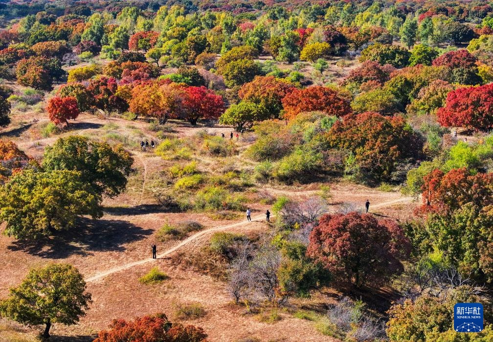 美丽中国丨乌昙塔拉美丽如仙