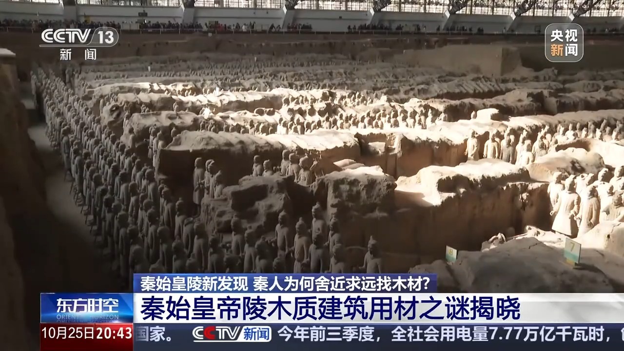 秦始皇陵墓中发现了高海拔的冷杉和云杉树。秦