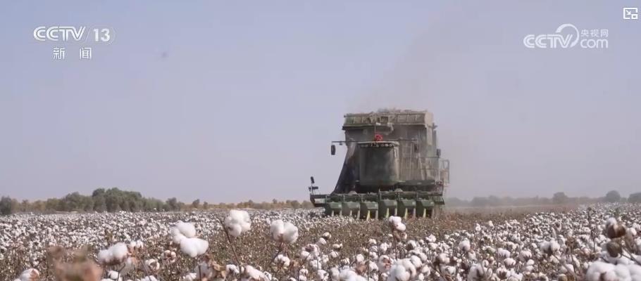 科技助力新疆棉田亩产丰收